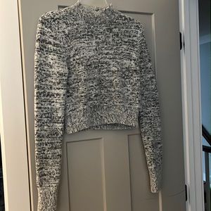 Express cropped sweater